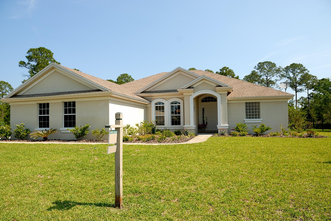 The Diamond in the Attic: Why Estate Sales Are a Collector's Best Friend